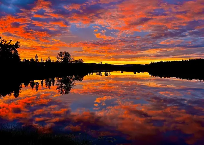 Burns Lake Bed And Breakfast